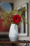 2017_Vase_Margerite_Close.jpg